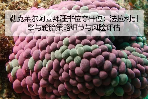 lei-ke-lai-er-a-sai-bai-jiang-pai-wei-duo-gan-wei-fa-la-li-yin-qing-yu-lun-tai-ce-lve-xi-jie-yu-feng-xian-ping-gu-2-319.jpg